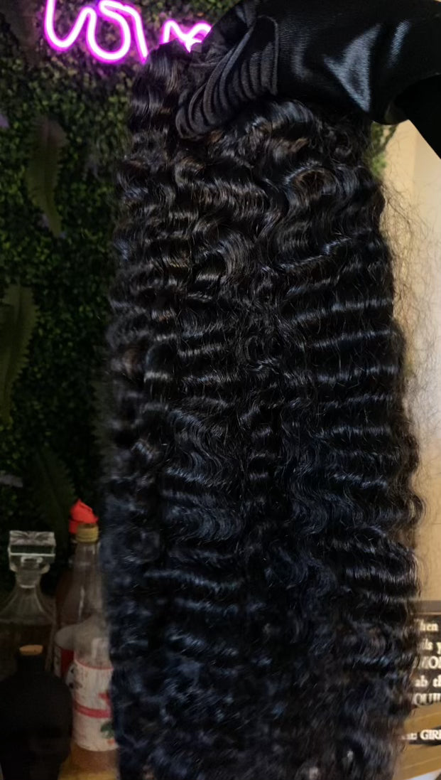 Burmese Curly (on hand) NO REFUNDS